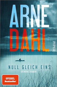 Null gleich eins - Arne Dahl - E-Book