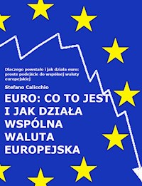 EURO: co to jest i jak działa wspólna waluta europejska - Stefano Calicchio - E-Book