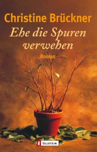 Ehe die Spuren verwehen - Christine Brückner - E-Book