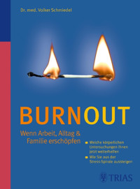 Burnout - Volker Schmiedel - E-Book