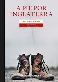 A pie por Inglaterra - William Henry Hudson - E-Book