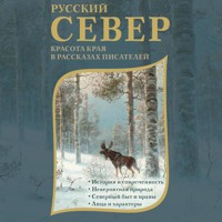 Русский Север. Красота края в рассказах писателей - Aleksandr Grin - Hörbuch