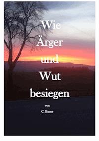 Wie Ärger und Wut besiegen - Christian Bauer - E-Book