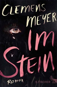 Im Stein - Clemens Meyer - E-Book