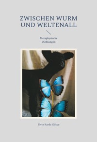 Zwischen Wurm und Weltenall - Elvin Karda Gökce - E-Book