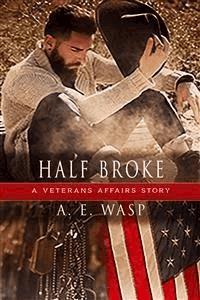 Half-Broke - A. E. Wasp - E-Book