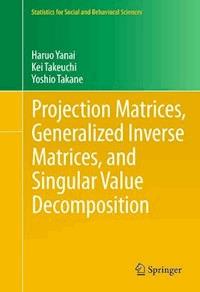 Projection Matrices, Generalized Inverse Matrices, and Singular Value Decomposition - Haruo Yanai - E-Book