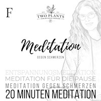 Meditation gegen Schmerzen - Meditation F - 20 Minuten Meditation - Christiane M. Heyn - Hörbuch