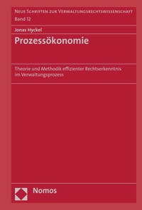 Prozessökonomie - Jonas Hyckel - E-Book