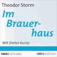 Im Brauerhaus - Theodor Storm - Hörbuch
