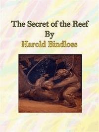 The Secret of the Reef - Harold Bindloss - E-Book