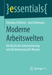 Moderne Arbeitswelten - Christian Schilcher - E-Book