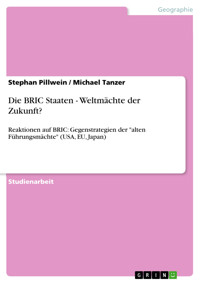 Die BRIC Staaten - Weltmächte der Zukunft? - Stephan Pillwein - E-Book
