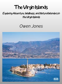 The Virgin Islands - Owen Jones - E-Book
