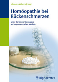 Homöopathie bei Rückenschmerzen - Johannes Wilkens - E-Book