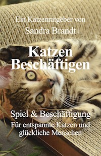 Katzen Beschäftigen - Sandra Brandt - E-Book