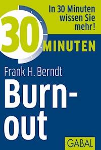 30 Minuten Burn-out - Frank H. Berndt - E-Book