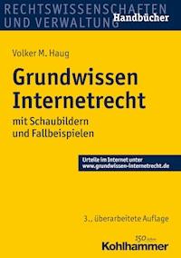 Grundwissen Internetrecht - Volker M. Haug - E-Book