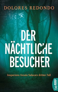 Der nächtliche Besucher - Dolores Redondo - E-Book
