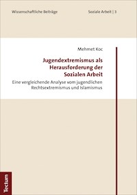 Jugendextremismus als Herausforderung der Sozialen Arbeit - Mehmet Koc - E-Book