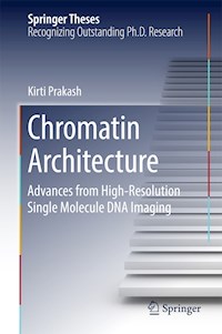 Chromatin Architecture - Kirti Prakash - E-Book