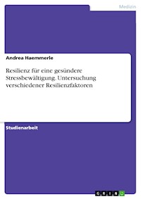Resilienz für eine gesündere Stressbewältigung. Untersuchung verschiedener Resilienzfaktoren - Andrea Haemmerle - E-Book