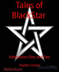 Tales of BlackStar - Rayden Haslyn - kostenlos E-Book