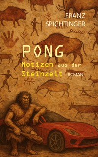 Pong. Notizen aus der Steinzeit - Franz Spichtinger - E-Book