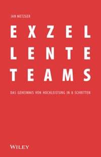 Exzellente Teams - Jan Metzger - E-Book
