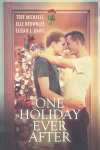 One Holiday Ever After - Tere Michaels - E-Book