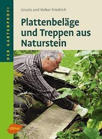 Plattenbeläge und Treppen aus Naturstein - Ursula Friedrich - E-Book