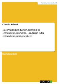 Das Phänomen Land Grabbing in Entwicklungsländern. Landraub oder Entwicklungsmöglichkeit? - Claudio Salvati - E-Book