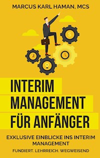 Interim Management für Anfänger - Marcus Karl Haman - E-Book