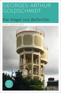 Die Hügel von Belleville - Georges-Arthur Goldschmidt - E-Book