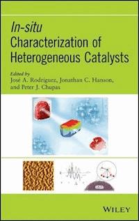 In-situ Characterization of Heterogeneous Catalysts - - E-Book