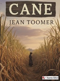 Cane - Jean Toomer - E-Book