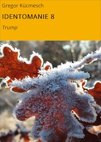 IDENTOMANIE 8 - Gregor Kücmesch - E-Book