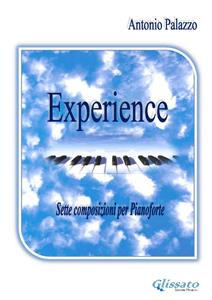 Experience - Antonio Palazzo - E-Book