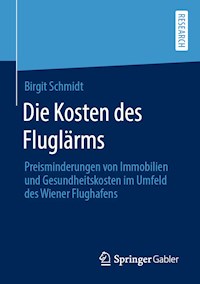Die Kosten des Fluglärms - Birgit Schmidt - E-Book