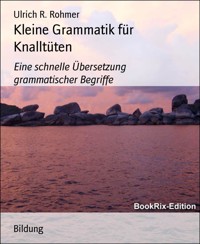 Kleine Grammatik für Knalltüten - Ulrich R. Rohmer - E-Book