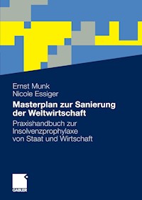 Masterplan zur Sanierung der Weltwirtschaft - Ernst Munk - E-Book