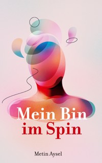 Mein Bin im Spin - Metin Aysel - E-Book
