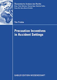 Precaution Incentives in Accident Settings - Tim Friehe - E-Book