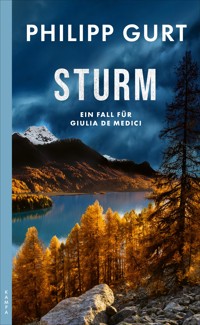 Sturm - Philipp Gurt - E-Book
