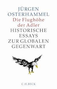 Die Flughöhe der Adler - Jürgen Osterhammel - E-Book