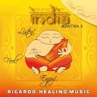 Sounds of India - Mantra 3 - - Hörbuch
