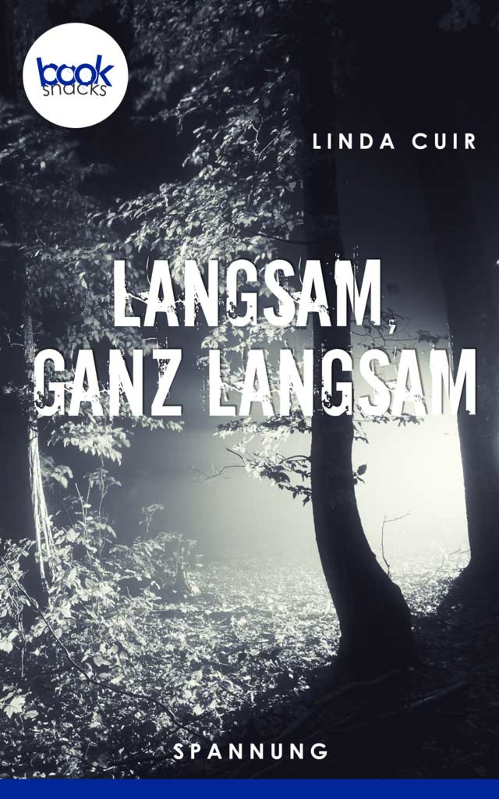 Langsam, ganz langsam - Linda Cuir - E-Book