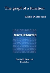 The graph of a function - Giulio D. Broccoli - E-Book