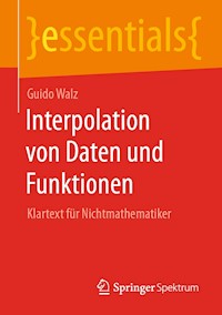 Interpolation von Daten und Funktionen - Guido Walz - E-Book