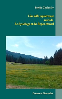 Une ville mystérieuse - Sophie Chalandry - E-Book